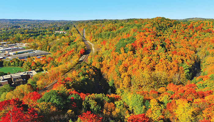 Photo of بهترین مکان در طبیعت اطراف تورنتو؛ برای تماشای زیبایی‌های فصل پاییز