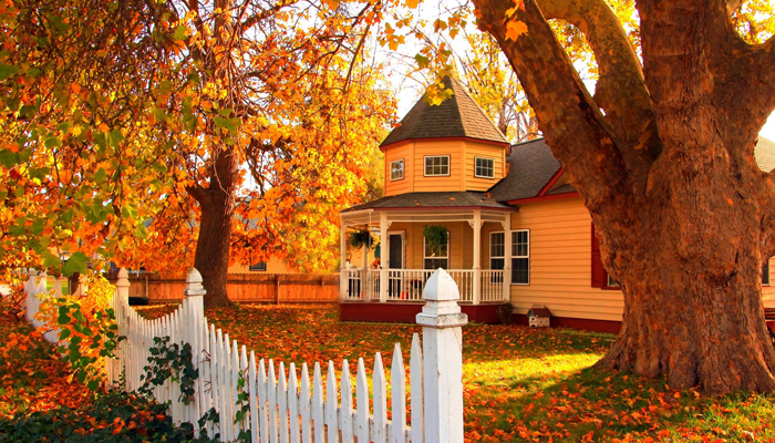 اگر صاحبِ خانه هستید؛ این پنج کار را در پاییز باید انجام بدهید