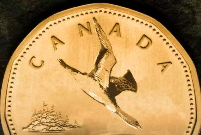 Photo of دلار کانادا سقوط کرد؛ تهدید علیه صنعت چوب کانادا کارساز بود