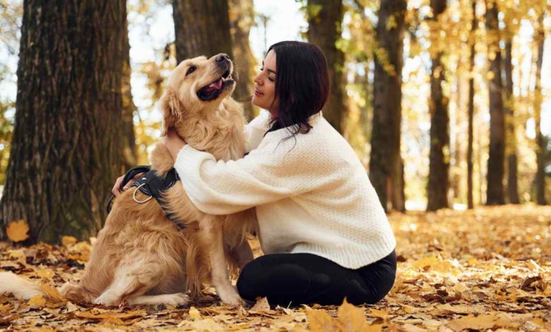 Photo of حضانت سگ سحر بیات و امید مودتی در کانادا، بالاخره به‌طور مساوی بین آنها تقسیم شد